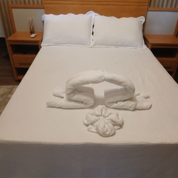 WhatsApp Image 2026-03-24 at 18.55.32